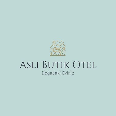 Asli Boutique Hotel Akbük Exteriér fotografie
